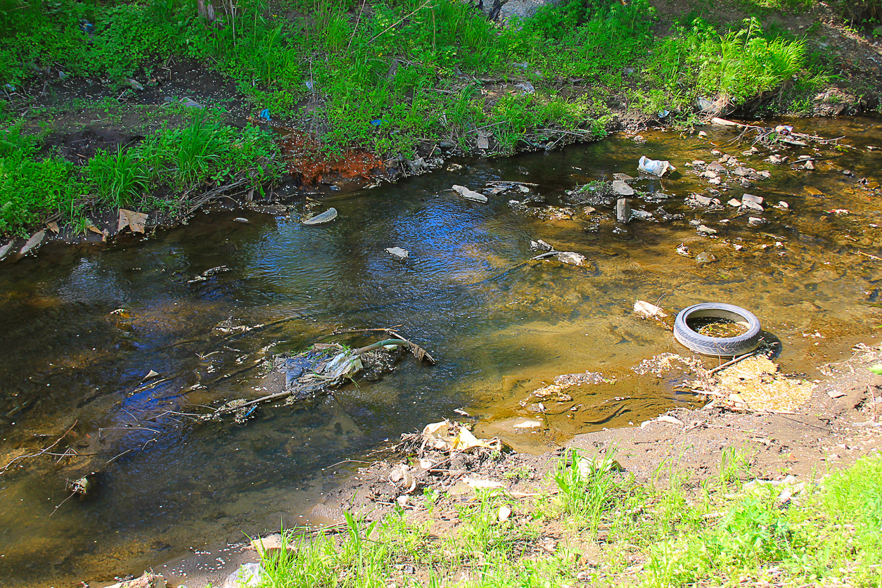 Integrated Constructed Wetlands (ICW)- Interesting concept to improve water  quality - Salmon Watch Ireland